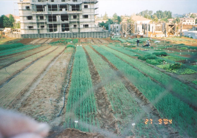 ערוגות המשתלה של תנא על רקע תחילת הבניה 2004