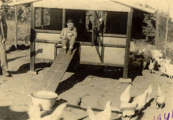1941יאיר גרינצווייג עם התרנגולות