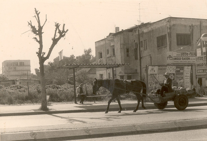 רחוב אחוזה פינת אופסטרלנד שנות ה-70 (תמ 770)