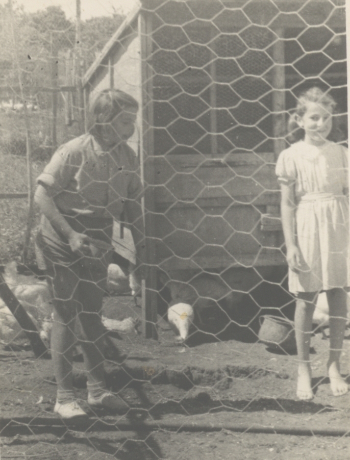 1946 לול העופות של משפחת יתום יהודה ויהודית. משמאל הבת מלכה ואורה סולוביצ'יק. רח' יהודה הלוי 36 צילום מוניק פבזנר 