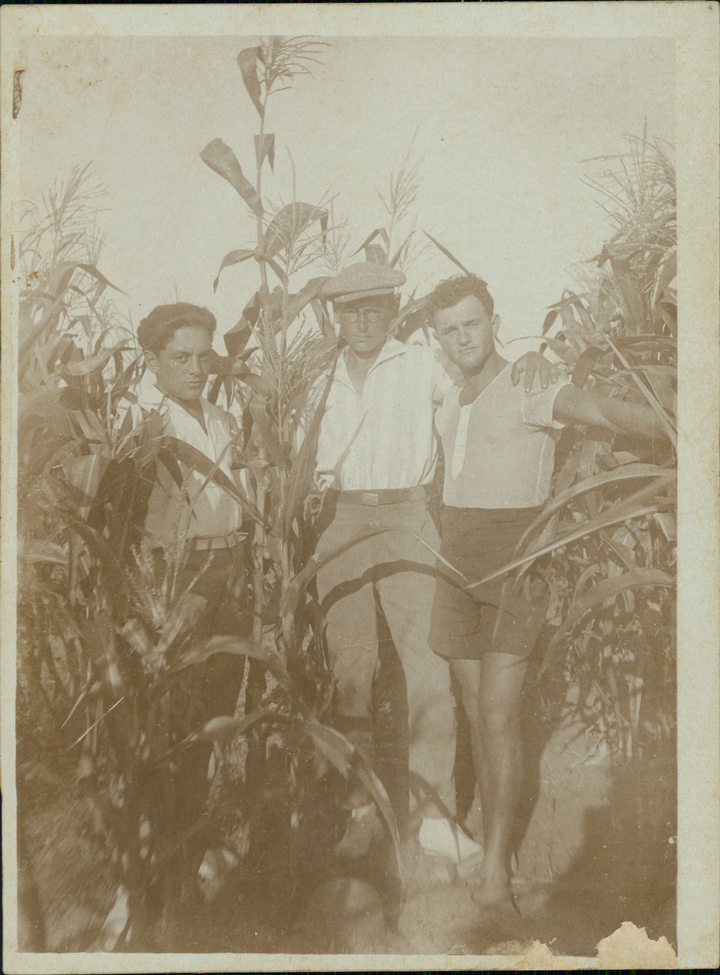 דוד הירשהורן (במרכז) עם חברים בשדה התירס ברעננה, שנות ה-30