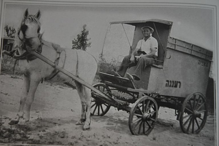עגלת הלחם של מאפיית אנקר, העגלון, בן-יליד, היה אחד ממובילי הלחם לבתים ברעננה.1930
