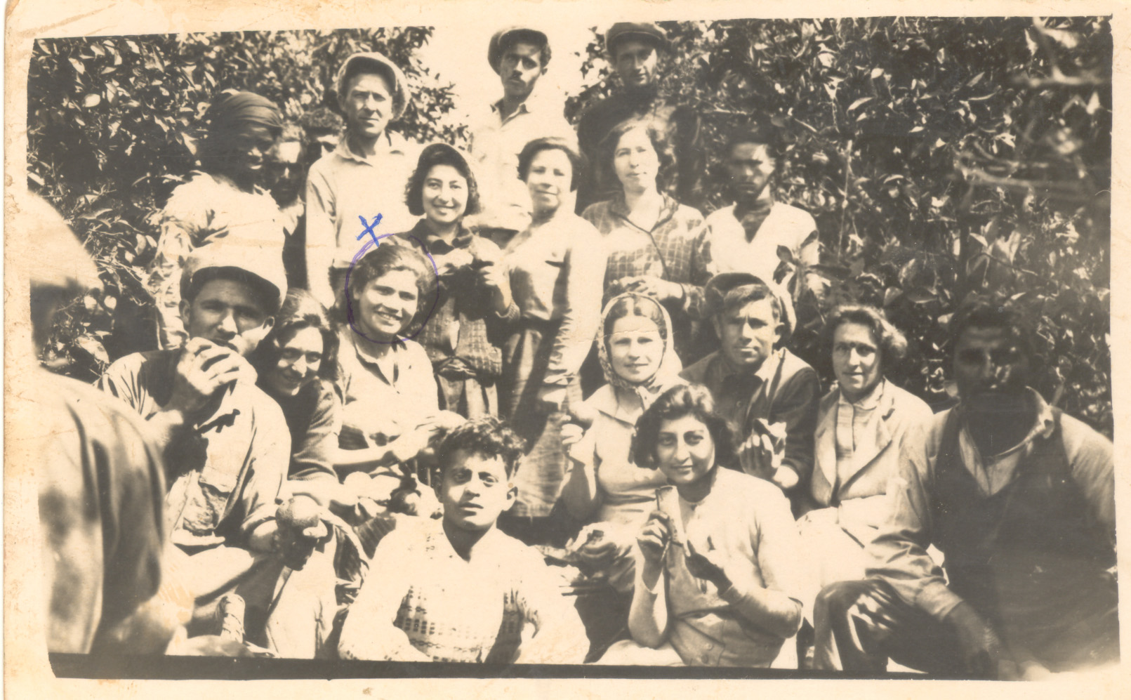 פועלים בפרדס רעננה 1937- דובה יושבת בשורה שניה שלישית משמאל
