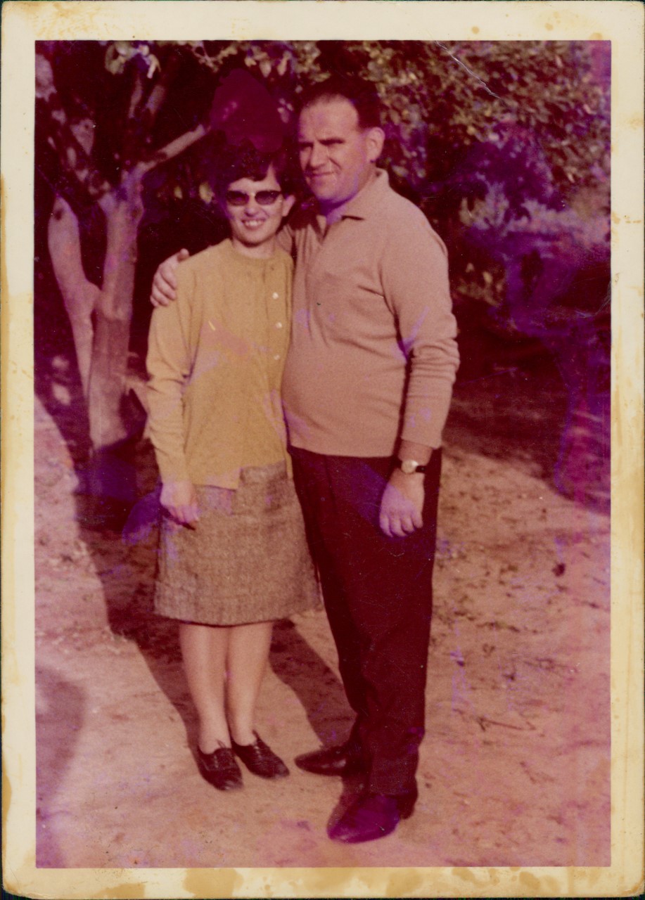 חנה וגדליהו צינס, שנות ה-70