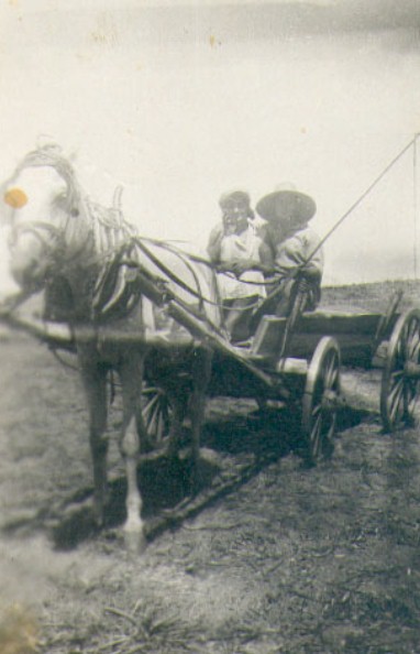 סבתא טובה על הסוסה המפורסמת 1931