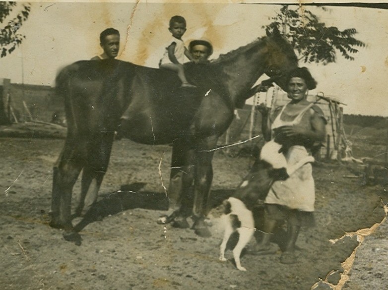 דב פרידמן עם הסוס