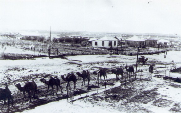 שיירת גמלים ברחוב אחוזה ועגלת הלחם של אנקר 690 שנות ה-20