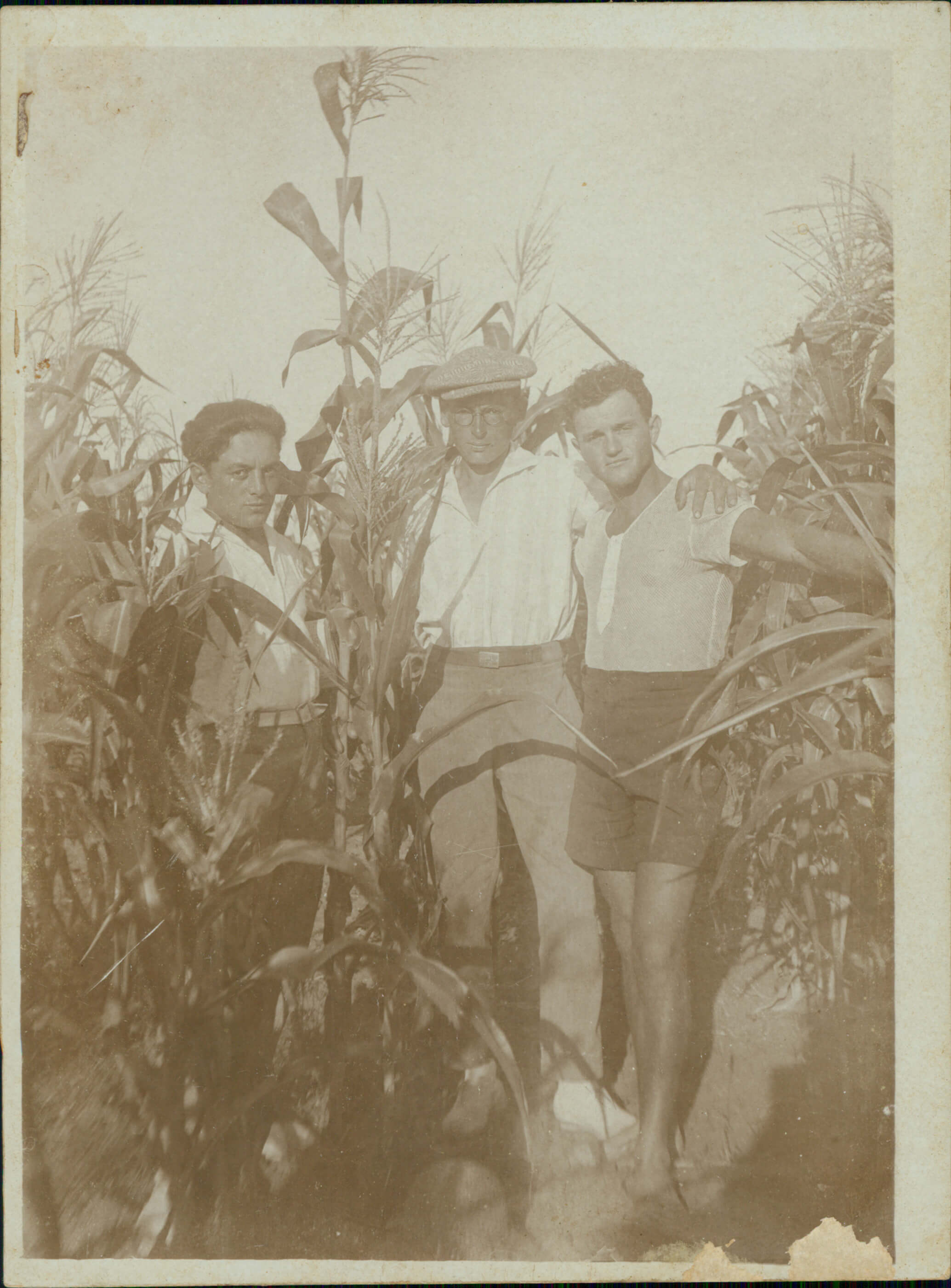 דוד הירשהורן במרכז התמונה עם חברים בשדה התירס ברעננה, שנות ה-30