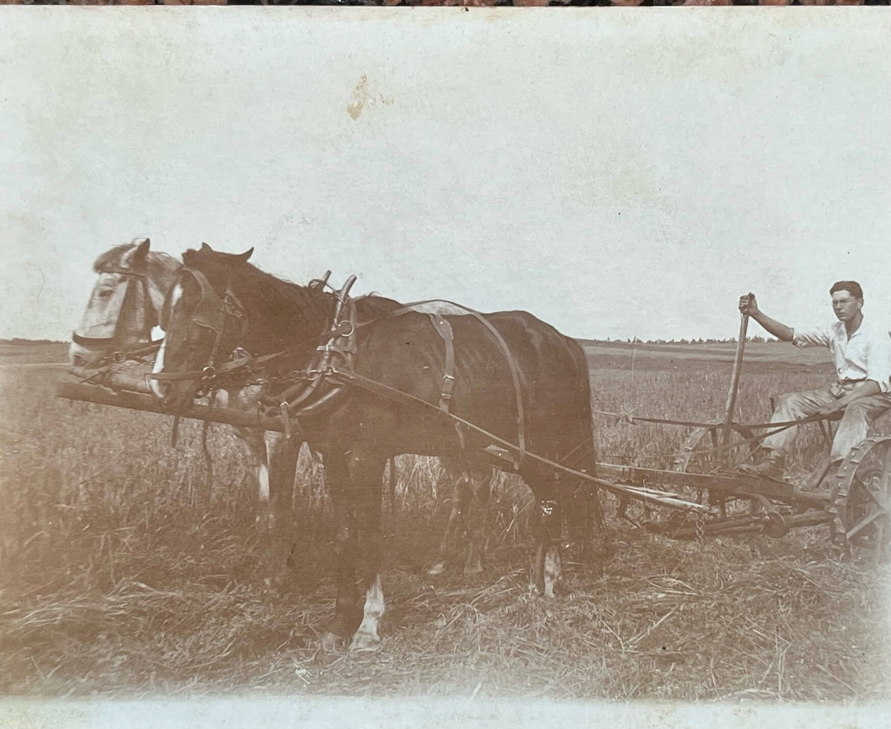 דוד הירשהורן חורש את השדה, שנות ה-30