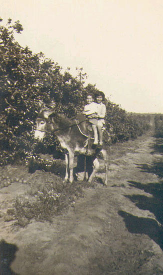 עליזה ואהרון בן-יליד בפרדס 1930