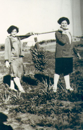 שרה זיו ויונה אש נושאות אשכול בננות ממטעי המתיישבים החדשים, 1929 (תמ261)
