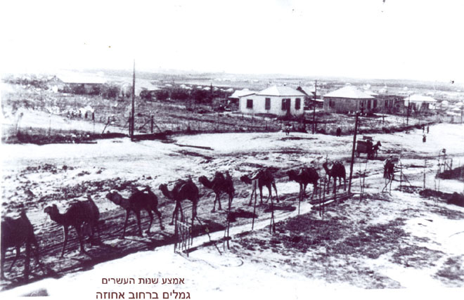 שיירת גמלים ברחוב אחוזה ועגלת הלחם של אנקר שנות ה-20 (690)