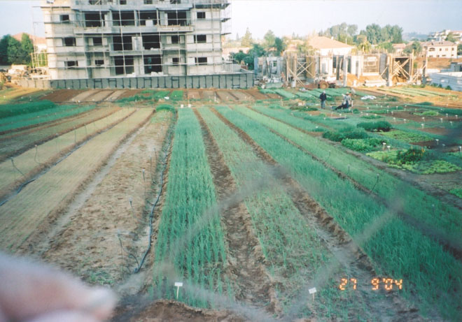 ערוגות המשתלה של תנא על רקע תחילת הבניה 2004