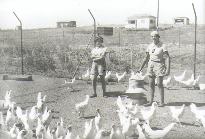 הרטה נשר ואחותה בלול העופות של משפחתם, 1937 (תמ889)