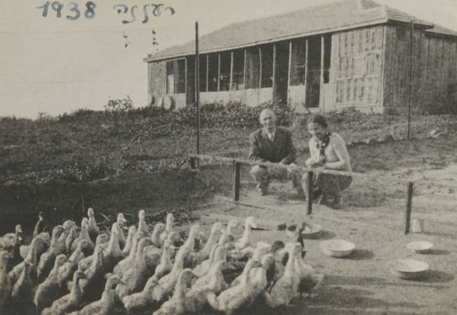 1938 הברווזים בחצר משפחת גרינפלד