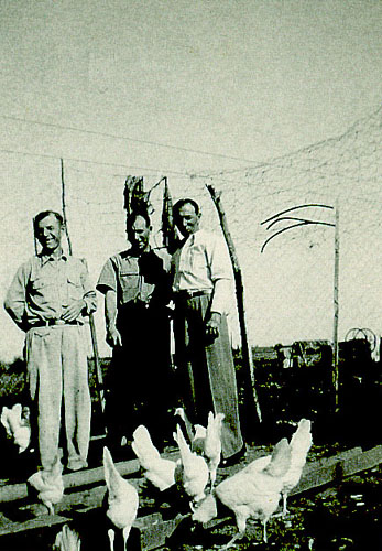 הלול של משפ' גולדווסר האבא יוסף 2 הבנים אריה וזאב 1951
