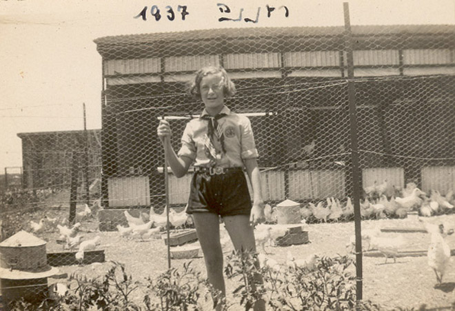 חנה בלול התרנגולות-1937 - גרינפלד-נתיב