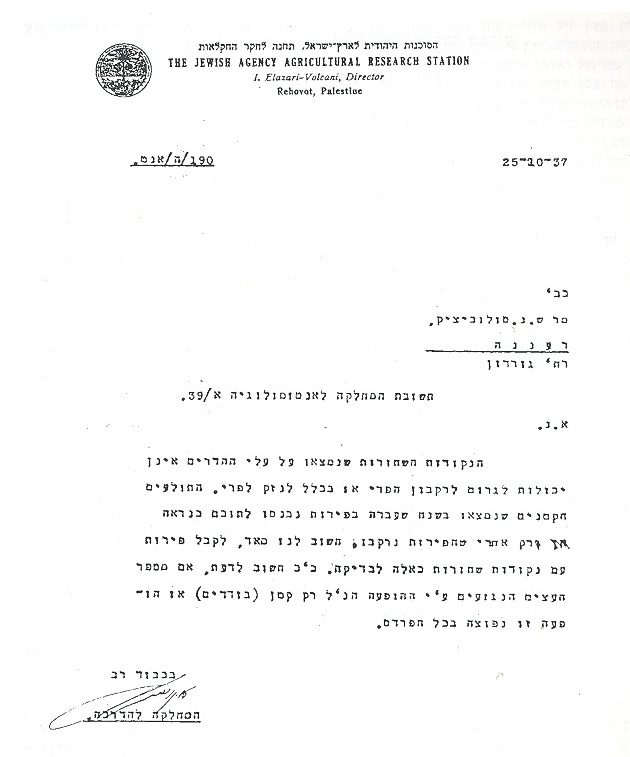 1937 מכתב תשובה לשלום נפתלי סולוביצ'יק מהסוכנות היהודית לארץ ישראל, תחנה לחקר החקלאות, לשאלתו בענין פרי הפרדס בו עבד
