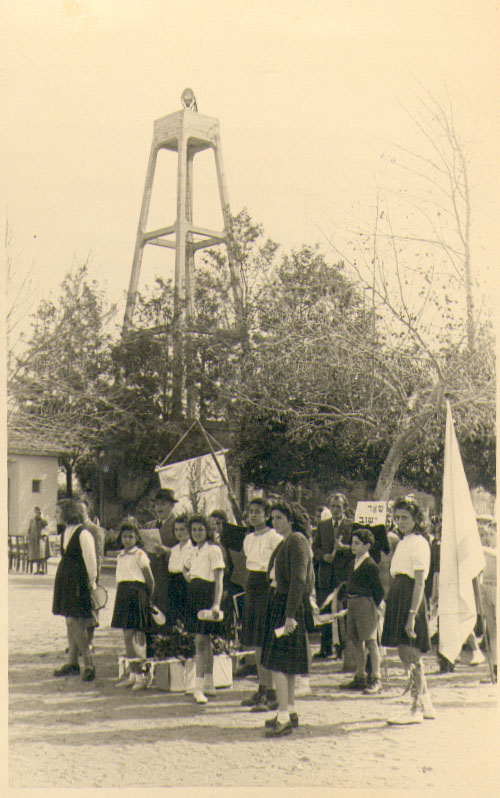 1948, נטיעות ליד המועצה