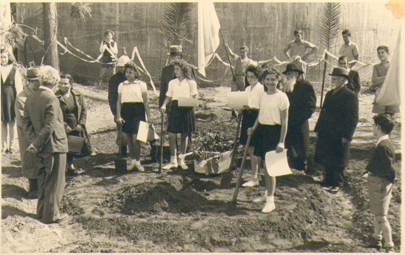 1948, נטיעת עץ המדינה ע"י בריכת המים במתחם המועצה המקומית.